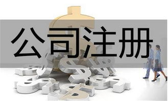 东莞一站式企业服务 专业代理工商注册与品牌视觉塑造